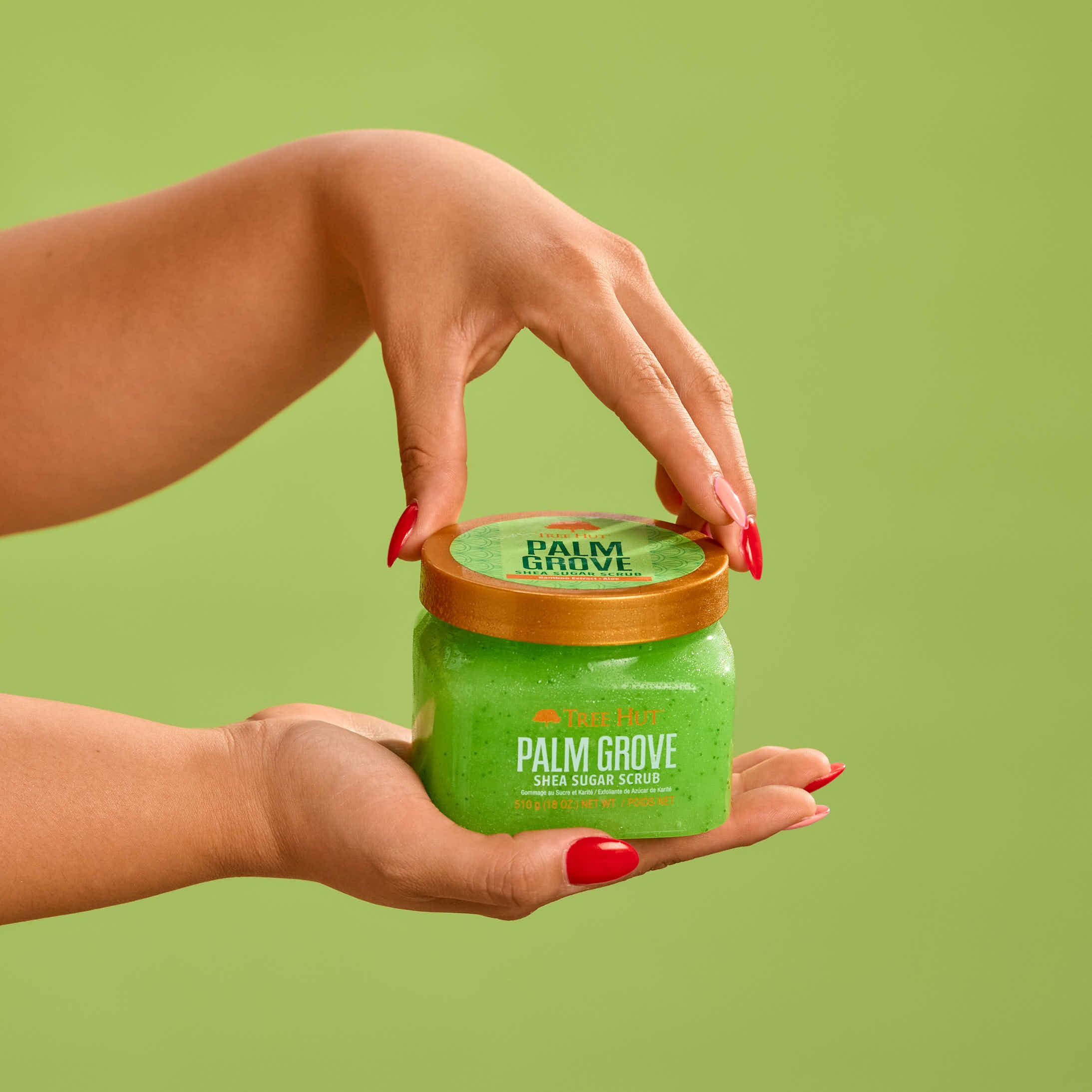Palm Grove Shea Sugar Scrub - Image 2
